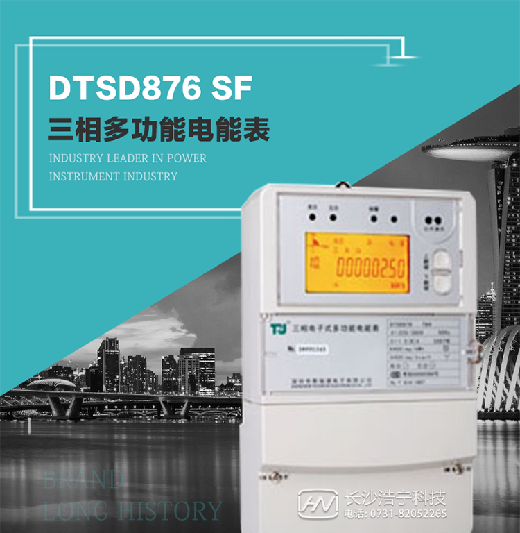 產(chǎn)品型號(hào)：DTSD876 SF型 三相多功能電能表
精度等級(jí)：有功0.5級(jí) 1級(jí)；無功2級(jí)&nbsp;
額定電壓： 3×100V 3×57.7/100V 3×220/380V&nbsp;
額定電流： 1.5(6)A 5(20)A 10(40)A 15(60)A 20(80)A 30(100)A&nbsp;
頻 率： -40℃～+70℃&nbsp;
工作溫度：≤0.5S&nbsp;
顯示方式： ≥1000mAh&nbsp;
整機(jī)功耗： ≥10年&nbsp;
重量： 約2.4kg&nbsp;
外形尺寸： 293mm×175mm×80mm